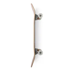 Arbor Cucharon Solstice 8.75” Skateboard Complete
