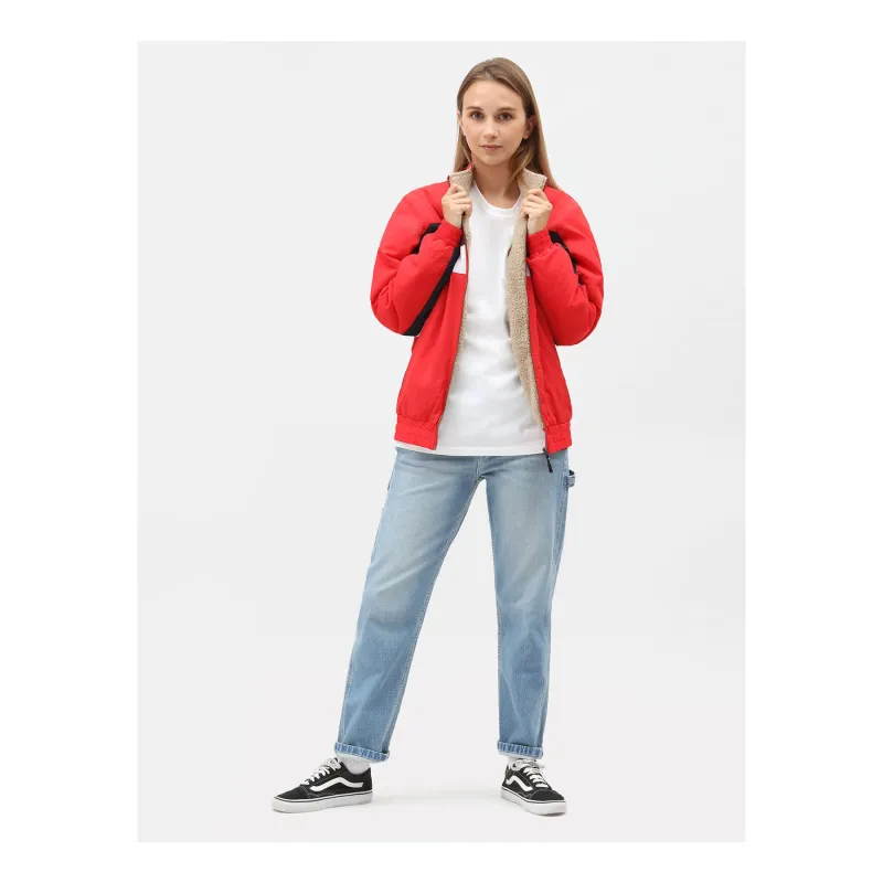 Dickies Park City Pants