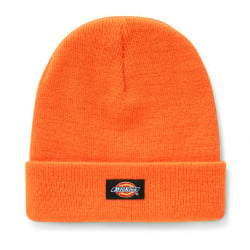 Dickies Gibsland Beanie