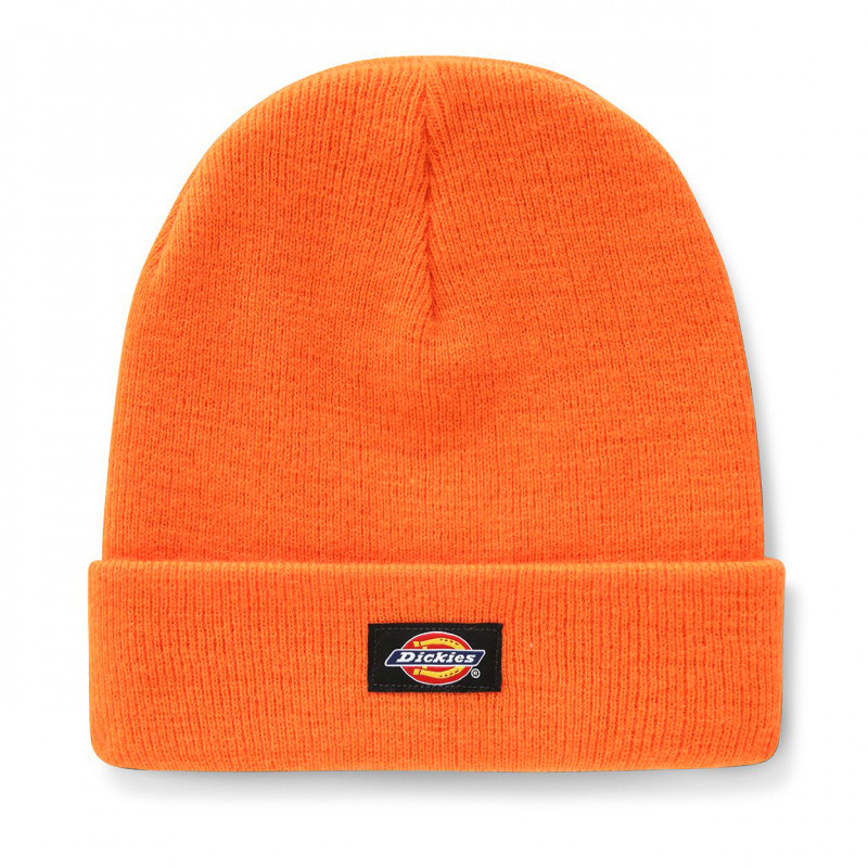 Dickies Gibsland Beanie