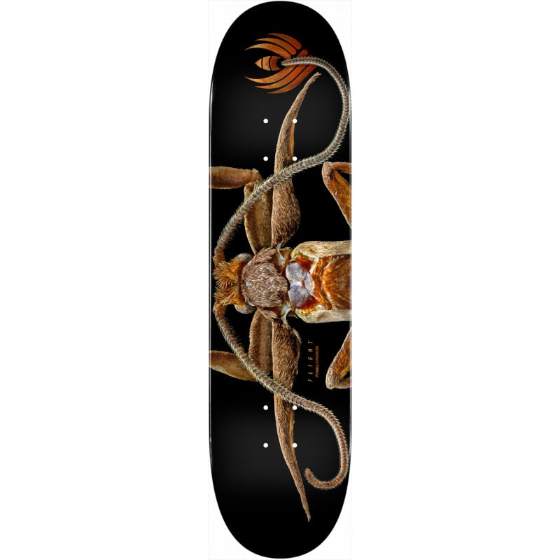 Powell-Peralta Levon Biss Marion Flightless Moth Flight Shape 243 8.25" Skateboard Deck