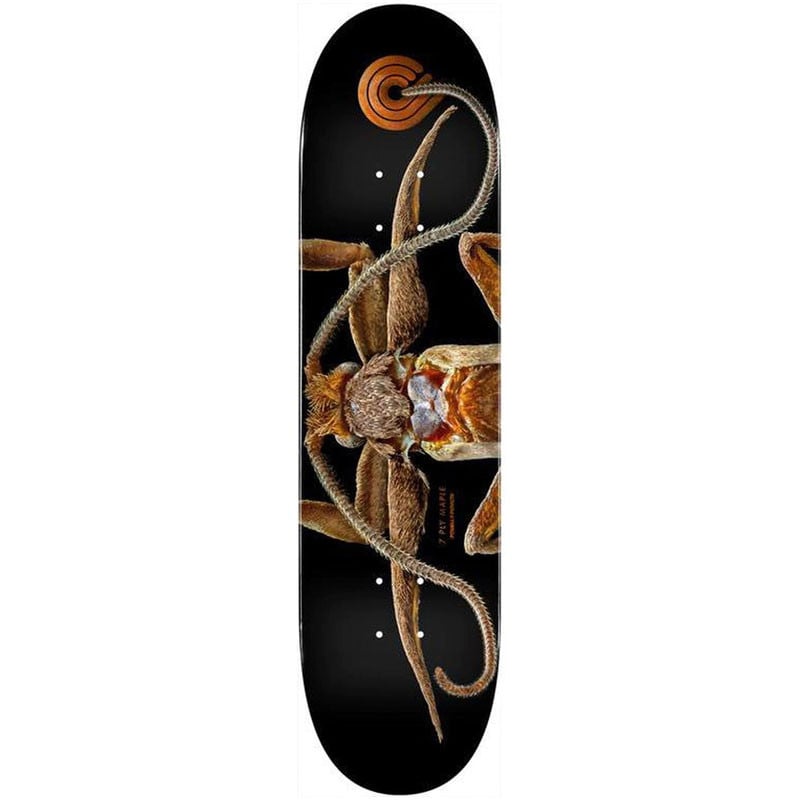 Powell-Peralta Levon Biss Marion Flightless Moth Shape 243 8.25" Skateboard Deck