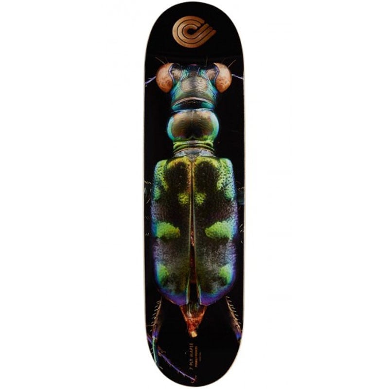 Powell-Peralta Levon Biss Tiger Beetle Shape 248 8.25" Skateboard Deck