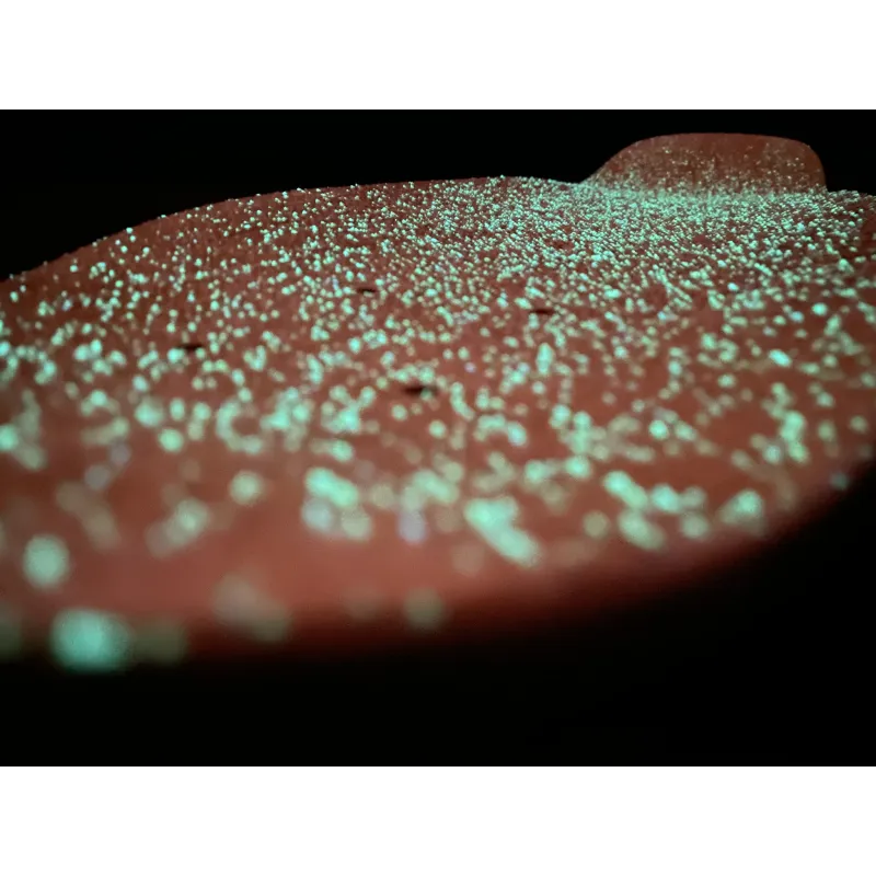 Lucid Grip GLOW