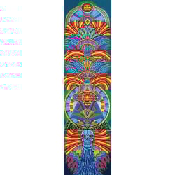 Paradox Cocoon By Chris Dyer 9"x33" Griptape Sheet