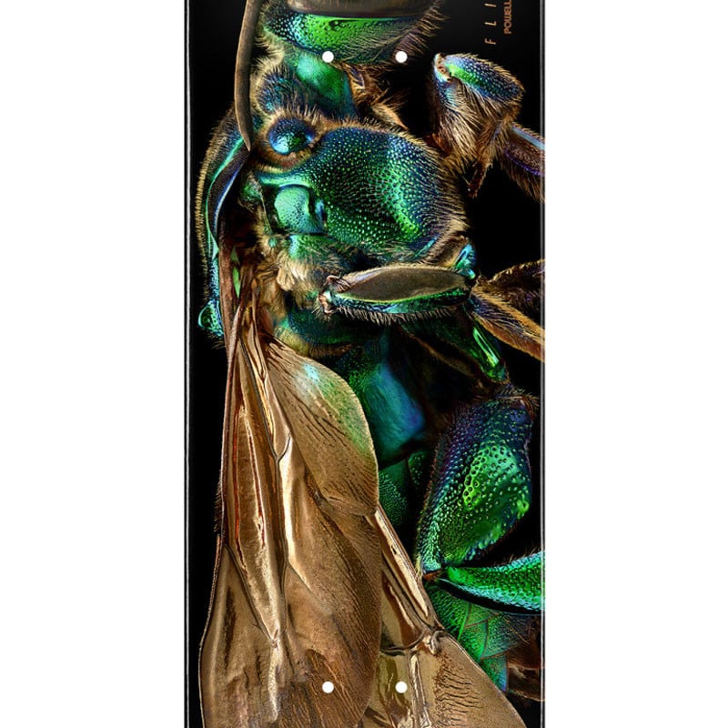 Powell-Peralta Levon Biss Orchid Cuckoo Bee Shape 242 8.0" Skateboard Deck