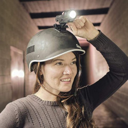 Adjustable Helm Mount