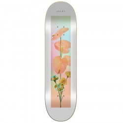 Sovrn Playground 8.25" Skateboard Deck