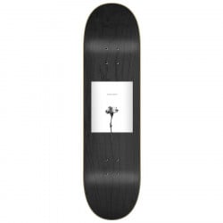 Sovrn Playground 8.25" Skateboard Deck