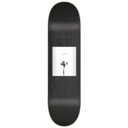 Sovrn Playground 8.25" Skateboard Deck