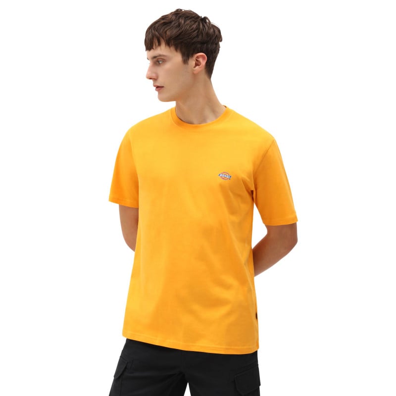 Dickies Mapleton T-Shirt