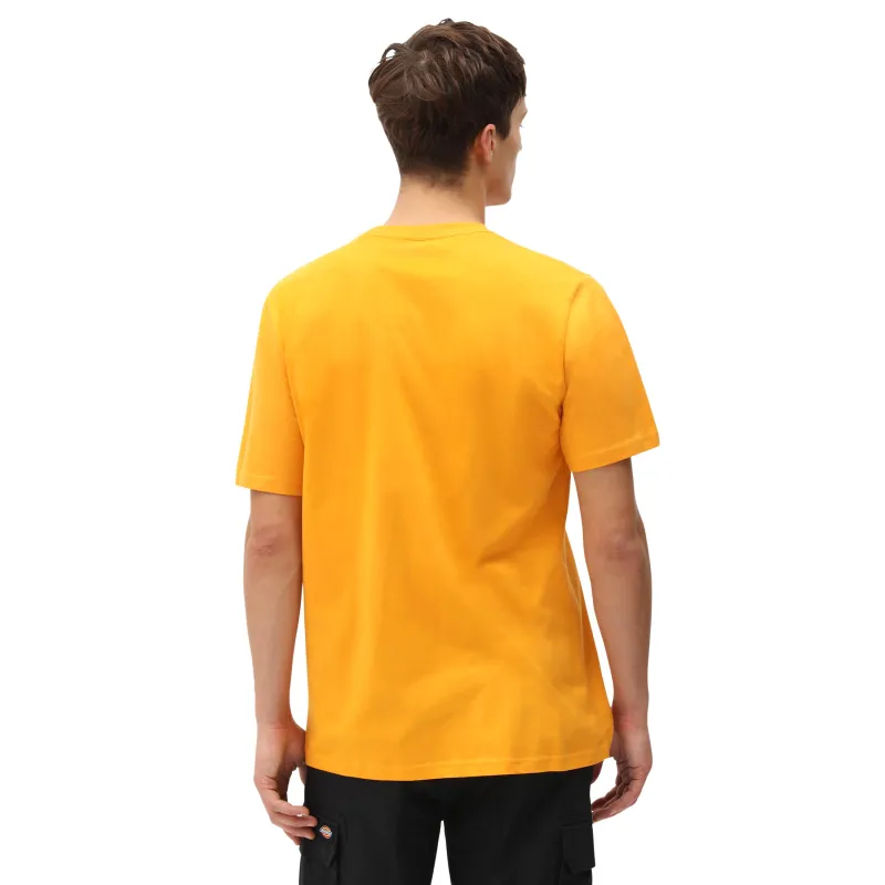 Dickies Mapleton T-Shirt