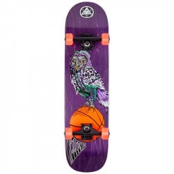 Welcome Hooter Shooter on Bunyip 8.0" Skateboard Complete