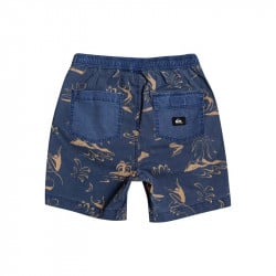 Quiksilver Taxer Kids Shorts