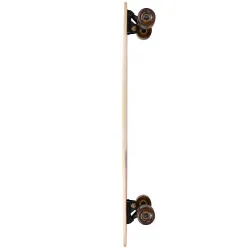Arbor Fish 37" Longboard Complete