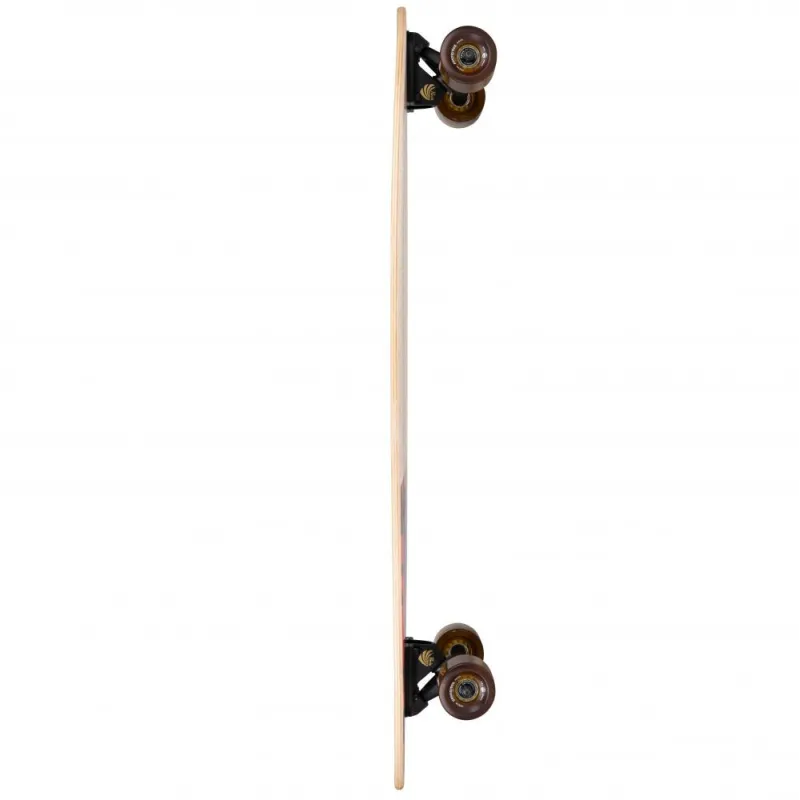 Arbor Fish 37" Longboard Complete