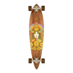 Arbor Fish 37" Longboard Complete