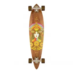 Arbor Fish 37" Longboard Complete