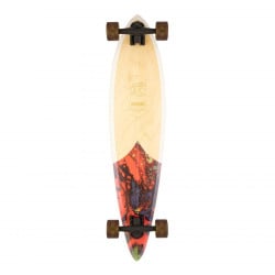 Arbor Fish 37" Longboard Complete