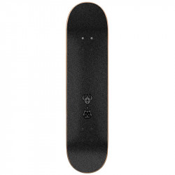 Darkstar Felix Radiate Youth First Push 7.375" Skateboard Complete