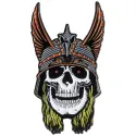 Powell-Peralta Andy Anderson Pin