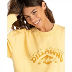 Billabong Desert Arch Sweater