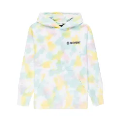 Element Blazin Chest Kids Hoodie