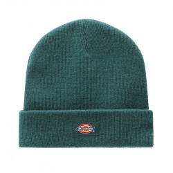 Dickies Gibsland Beanie