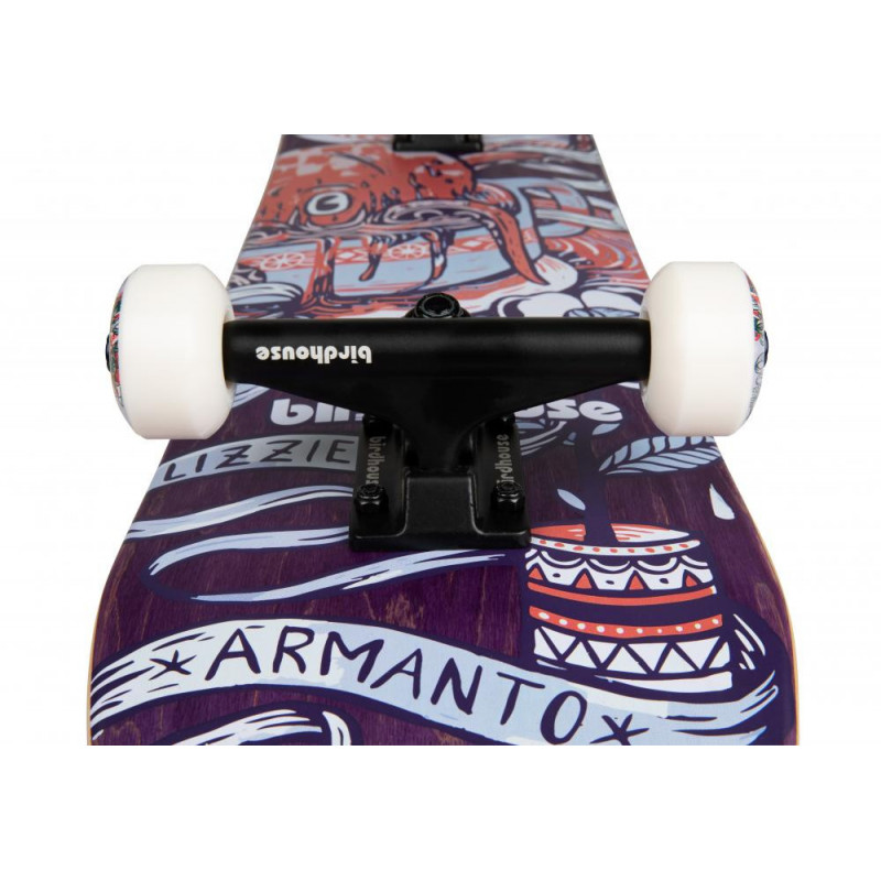 Birdhouse Stage 3 Skateboard Complete