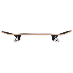 Birdhouse Stage 3 Skateboard Complete