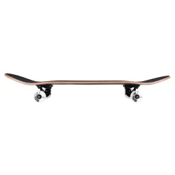 Birdhouse Stage 3 Skateboard Complete