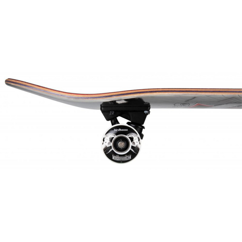 Birdhouse Stage 3 Skateboard Complete