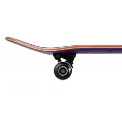 Birdhouse Stage 3 Skateboard Complete