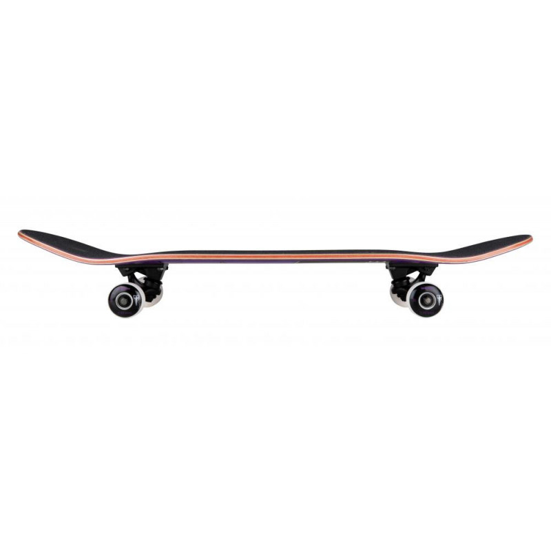Birdhouse Stage 3 Skateboard Complete