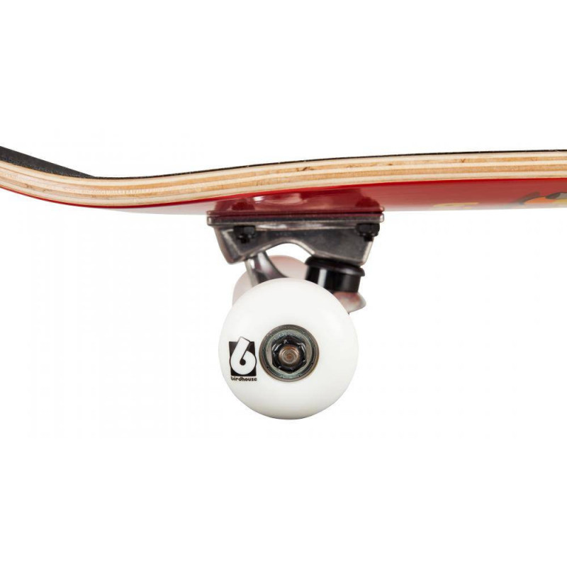 Birdhouse Stage 1 Skateboard Complete