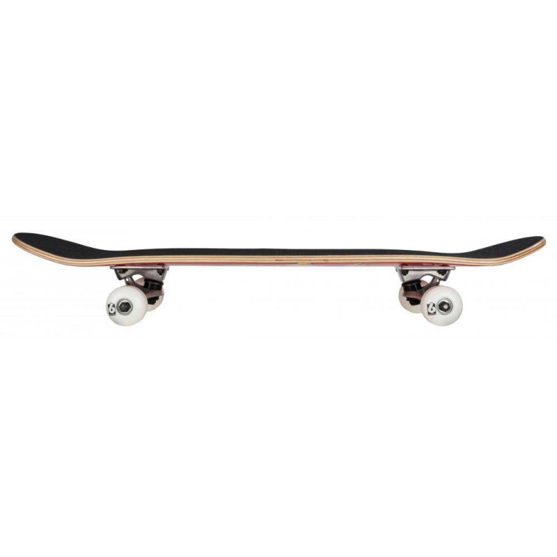 Birdhouse Stage 1 Skateboard Complete