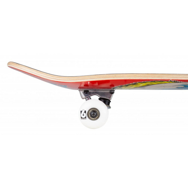 Birdhouse Stage 1 Skateboard Complete