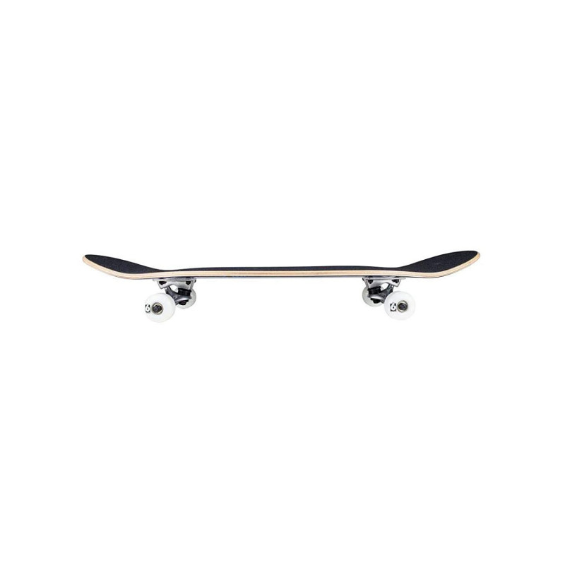 Birdhouse Stage 1 Skateboard Complete