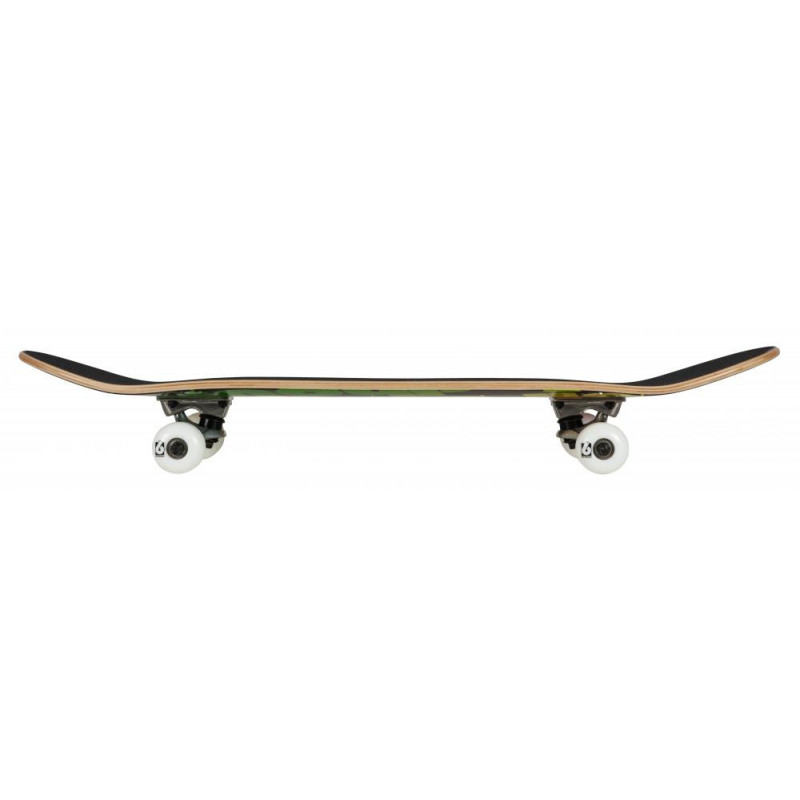 Birdhouse Stage 1 Skateboard Complete
