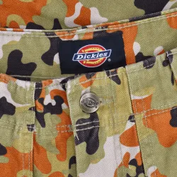 Dickies Artondale Pants