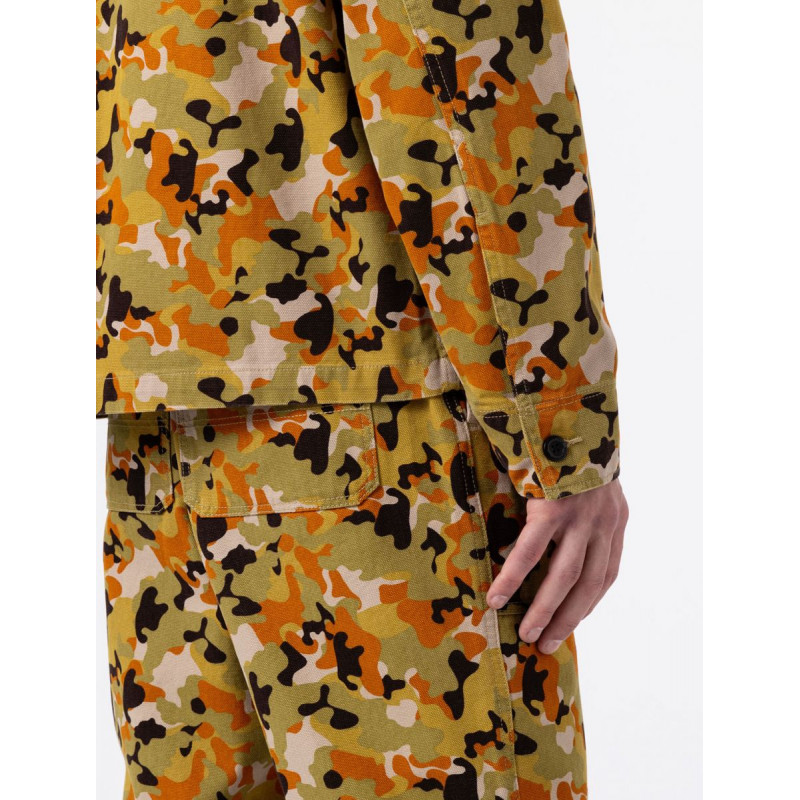 Dickies Artondale Pants