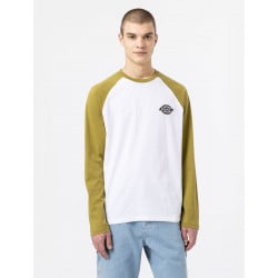 Dickies Longsleeve Cologne