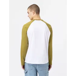 Dickies Longsleeve Cologne