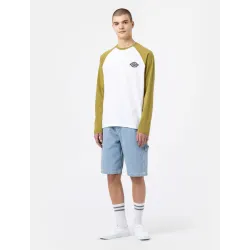 Dickies Longsleeve Cologne