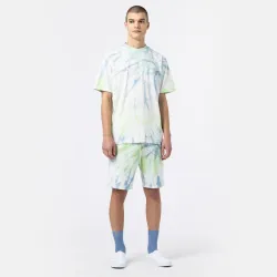 Dickies Seatac Shorts