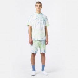 Dickies Seatac T-Shirt