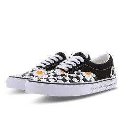 Vans Skate Era Shoes