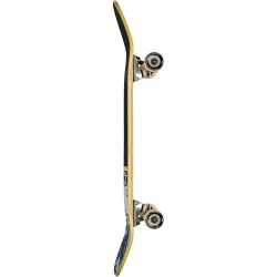 Globe Shooter 8.625" Skateboard Complete