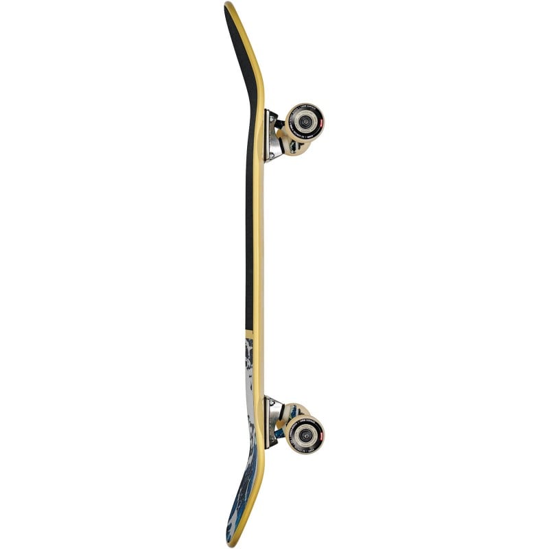 Globe Shooter 8.625" Skateboard Complete