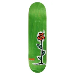 Real Regrowth 8.06" Skateboard Deck